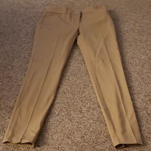 Dress pants